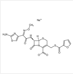 头孢噻呋钠	|104010-37-9	 