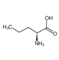 DL-正缬氨酸|760-78-1 