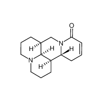 槐果碱|145572-44-7 