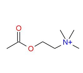  羟乙基三甲基铵醋酸盐 | 14586-35-7 