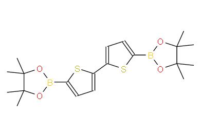 2,2'-二噻吩-5,5'-二硼酸二频哪醇酯 | 239075-02-6 