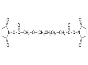 琥珀酰亚胺乙酸酯聚乙二醇琥珀酰亚胺乙酸酯,琥珀酰亚胺乙酸酯PEG琥珀酰亚胺乙酸酯,SCM-PEG-SCM 