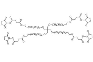 四臂聚乙二醇琥珀酰亚胺丁二酸酯,四臂PEG琥珀酰亚胺丁二酸酯4Arm-PEG-SS 