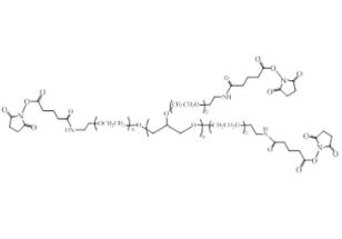 八臂聚乙二醇琥珀酰亚胺酰胺戊二酸酯,八臂PEG琥珀酰亚胺酰胺戊二酸酯8Arm-PEG-GAS 