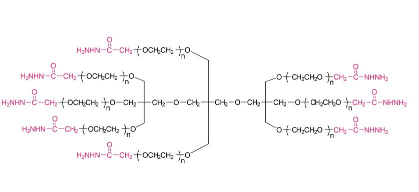八臂聚乙二醇-酰肼,八臂PEG-酰肼8Arm-PEG-Hydrazide，8Arm-PEG-HZ 
