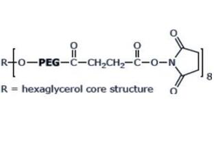 八臂聚乙二醇琥珀酰亚胺丁二酸酯,八臂PEG琥珀酰亚胺丁二酸酯8Arm-PEG-SS 