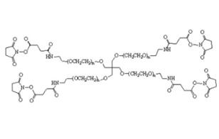 四臂聚乙二醇琥珀酰亚胺酰胺丁二酸酯,四臂PEG琥珀酰亚胺酰胺丁二酸酯4Arm-PEG-SAS 