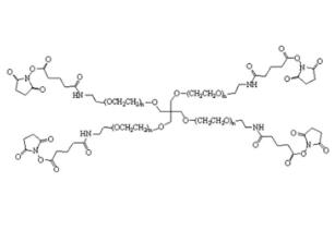 四臂聚乙二醇琥珀酰亚胺酰胺戊二酸酯,四臂PEG琥珀酰亚胺酰胺戊二酸酯4Arm-PEG-GAS 