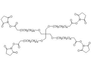 四臂聚乙二醇琥珀酰亚胺乙酸酯,四臂PEG琥珀酰亚胺乙酸酯4Arm-PEG-SCM 