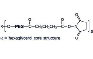 八臂聚乙二醇琥珀酰亚胺戊二酸酯,八臂PEG琥珀酰亚胺戊二酸酯8Arm-PEG-SG 