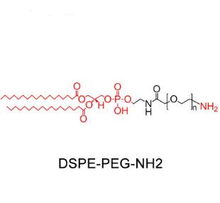 二硬脂酰磷脂酰乙酰胺聚乙二醇氨基,二硬脂酰磷脂酰乙酰胺PEG氨基DSPE PEG Amine, DSPE-PEG-NH2 