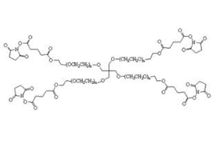 四臂聚乙二醇琥珀酰亚胺戊二酸酯,四臂PEG琥珀酰亚胺戊二酸酯4Arm-PEG-SG 