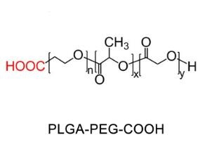 聚乳酸-羟基乙酸共聚物聚乙二醇羧基，聚乳酸-羟基乙酸共聚物PEG羧基PLGA-PEG-COOH 