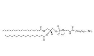 胆固醇聚乙二醇氨基，胆固醇PEG氨基Cholesterol-PEG-Amine，CLS-PEG-NH2 