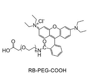 罗丹明聚乙二醇羧基，罗丹明PEG羧基Rhodamine PEG Acid, RB-PEG-COOH 