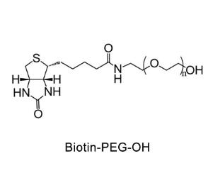 生物素聚乙二醇羟基，生物素PEG羟基Biotin-PEG-OH 