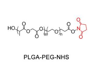 聚乳酸-羟基乙酸共聚物PEG活性酯PLGA-PEG-SCM，PLGA-PEG-NHS；聚乳酸-羟基乙酸共聚物聚乙二醇活性酯 