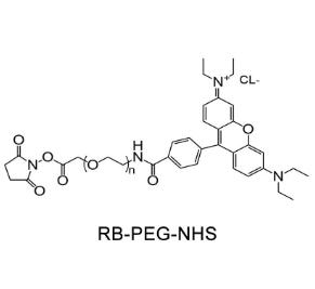 罗丹明PEG活性酯Rhodamine PEG NHS, RB-PEG-SCM；罗丹明聚乙二醇活性酯 