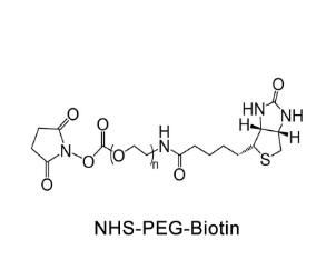 生物素PEG活性酯Biotin-PEG-NHS，Biotin-PEG-SCM；生物素聚乙二醇活性酯 