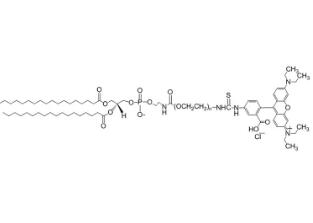 二硬脂酰磷脂酰乙酰胺PEG罗丹明DSPE-PEG-Rhodamine;二硬脂酰磷脂酰乙酰胺聚乙二醇罗丹明 