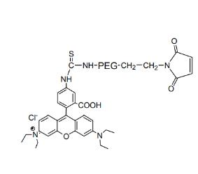 罗丹明PEG马来酰亚胺Rhodamine PEG Maleimide, RB-PEG-MAL,;罗丹明聚乙二醇马来酰亚胺 