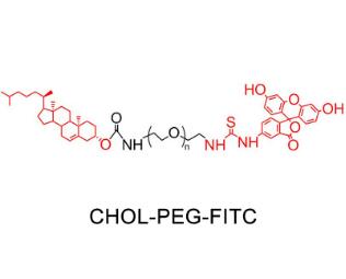 荧光素PEG胆固醇FITC-PEG-Cholesterol，FITC-PEG-CLS,荧光素聚乙二醇胆固醇 