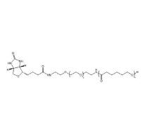 聚己内酯PEG生物素PCL-PEG-BIOTIN，PCL-PEG-BIOTIN,聚己内酯聚乙二醇生物素 