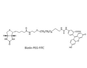 荧光素PEG生物素Fluorescein PEG BIOTIN, FITC-PEG-BIOTIN,荧光素聚乙二醇生物素 