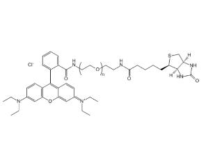 罗丹明PEG生物素Rhodamine PEG BIOTIN, RB-PEG-BIOTIN,罗丹明聚乙二醇生物素 