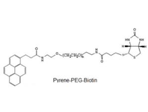 芘丁酸PEG生物素Pyrene-PEG-BIOTIN，Pyrene-PEG-BIOTIN,芘丁酸聚乙二醇生物素 