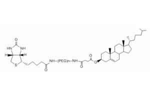 胆固醇PEG生物素Cholesterol-PEG-BIOTIN，CLS-PEG-BIOTIN,胆固醇聚乙二醇生物素 